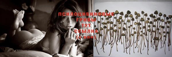 apvp Новодвинск