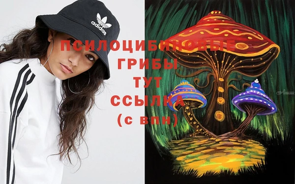 МДМА Нязепетровск