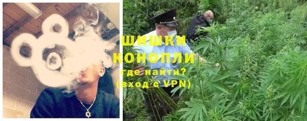ПСИЛОЦИБИНОВЫЕ ГРИБЫ Ачинск