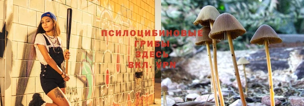 кристаллы Новозыбков