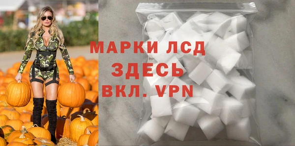 стафф Бердск