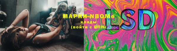apvp Новодвинск