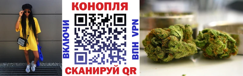 Шишки марихуана OG Kush  Шумиха 